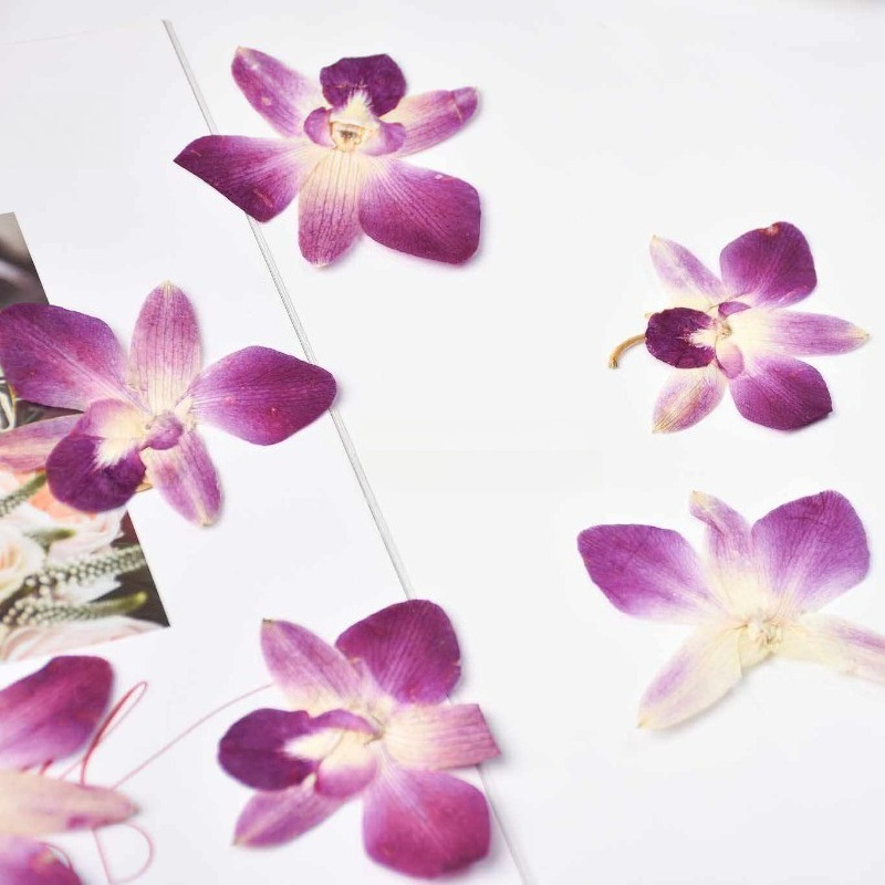 4pcs,Real Pressed Butterfly Or - Resin Craft Ideas review and price