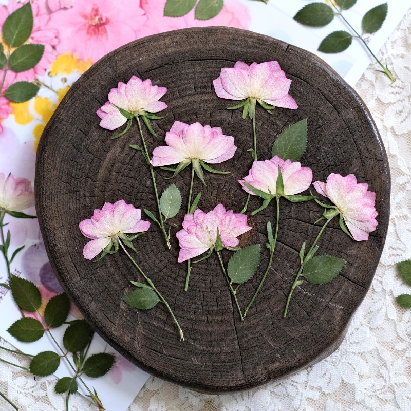 12pcs,Real Dried Pressed Flowe - Resin Craft Ideas review and price